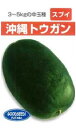 沖縄 冬瓜 1DL ウリ うり 瓜