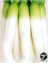 新天地 20ml 大根 ダイコン だいこん