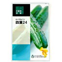 四葉24 100粒 胡瓜 キュウリ きゅうり