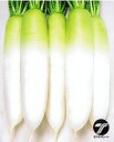 冬職人 20ml 大根 ダイコン だいこん