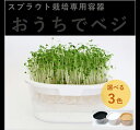 スプラウト栽培専用ジャー(もやしタイプ) - スプラウト栽培 専用ジャー 栽培キット