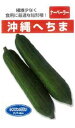 沖縄 短形へちま 1DL ヘチマ へちま 糸瓜