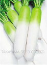 冬仕立 20ml 大根 ダイコン だいこん