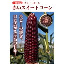 赤いスイートコーン 1dl スイートコーン とうもろこし