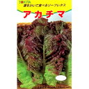 アカチマ(焼肉レタス) 20ml レタス