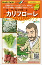 花椰菜 カリフローレ80 200粒 グストイタリア ダイヤ交配