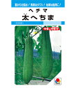 太糸瓜(太へちま) 500粒 ヘチマ へちま 糸瓜