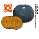 TSX-820 100粒 南瓜 カボチャ かぼちゃ ダイヤ交配 ◎