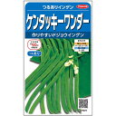 ケンタッキーワンダー 1L 鞘隠元 サヤインゲン さやいんげん