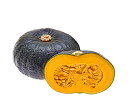 金蔵 100粒 南瓜 カボチャ かぼちゃ