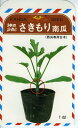 さきもり南瓜 1dl袋 南瓜 カボチャ かぼちゃ