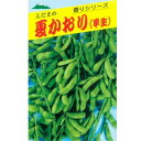 夏香 1L 枝豆 えだまめ エダマメ