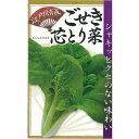 江戸川育成 ごせき芯とり菜 キダネ 1dl シントリ菜 シントリナ しんとりな
