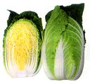 黄芯系 心美白菜 20ml 白菜 ハクサイ はくさい 山陽交配