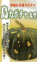 沖縄 島かぼちゃ (丸型) 1DL 南瓜 カボチャ かぼちゃ