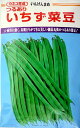 いちずつる有菜豆 2000粒 鞘隠元 サヤインゲン さやいんげん