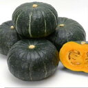 蔵の匠 100粒 南瓜 カボチャ かぼちゃ