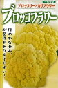 ブロッコフラワー 1千粒コート カリフラワー