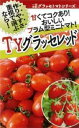 TYグラッセプラス レッド 100粒 トマト とまと 蕃茄