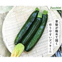 夏秋よしなりZ 100粒 ズッキーニ 松永交配