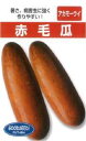 沖縄 赤毛瓜 1DL ウリ うり 瓜