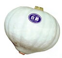 白爵 100粒 南瓜 カボチャ かぼちゃ