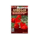 ハバネロ(レッド) 1000粒 唐辛子 とうがらし トウガラシ