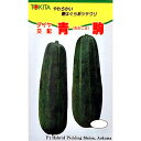 青駒 100粒 ウリ うり 瓜 ダイヤ交配