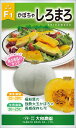 しろまろ 100粒 南瓜 カボチャ かぼちゃ
