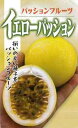 イエローパッション 10ml パッションフルーツ