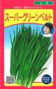 パワフルグリーンベルトにら コート2L5千粒 韮 ニラ にら