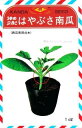 はやぶさ南瓜 1dl袋 南瓜 カボチャ かぼちゃ