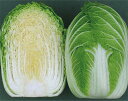 N-189 10ml 白菜 ハクサイ はくさい