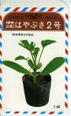 はやぶさ二号 1dl袋 南瓜 カボチャ かぼちゃ