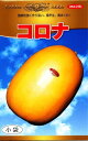 コロナまくわ 10ml ウリ うり 瓜