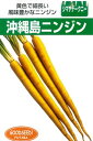 沖縄 島人参 1DL ニンジン にんじん 人参