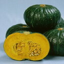 味皇 100粒 南瓜 カボチャ かぼちゃ