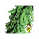 夏枝 1L 枝豆 えだまめ エダマメ