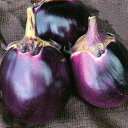 メランツァーネ・ビステッカ・スペリオーレ 100粒 グストイタリア