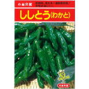 わかとししとう 20ml ししとう シシトウ 獅子唐