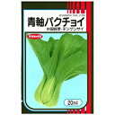 青軸パクチョイ 2dl 青梗菜 チンゲン菜 チンゲンサイ ちんげんさい
