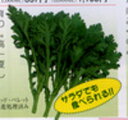 なべ奉行 1L 春菊 しゅんぎく シュンギク