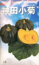 神田小菊南瓜 1dl袋(500粒) 南瓜 カボチャ かぼちゃ