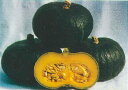 まさかり南瓜・黒将 100粒 南瓜 カボチャ かぼちゃ 一代交配
