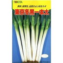 東京冬黒 5000粒(コート) 葱 ネギ ねぎ
