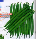 ミール 1L 鞘隠元 サヤインゲン さやいんげん