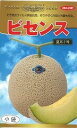 ビセンス(夏系2号) 100粒 めろん メロン 舐瓜