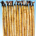 みやこ白肌 1l 牛蒡 ゴボウ ごぼう 中原採種場