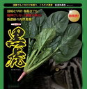 黒虎 PRM3万粒 ほうれん草 法蓮草 ホウレンソウ ほうれんそう