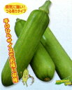 カボッキー 100粒 かぼちゃ 韓国かぼちゃ カボチャ 南瓜 ズッキーニ